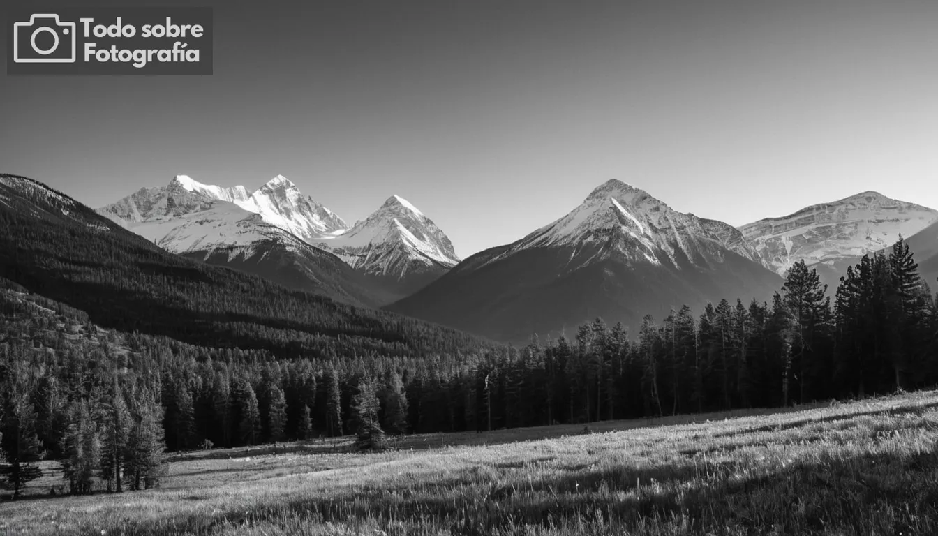 maderas y montañas en alto contraste, composición minimalista, fotografía de arte fino, enfoque afilado en detalles de la naturaleza, tonos monocromáticos, estilo inspirado en Ansel Adams, uso de técnica f/64, imágenes blancas y negras, efectos de iluminación dramáticos, líneas verticales fuertes