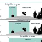 Consejos para mejorar la nitidez y profundidad de campo con el diafragma cerrado en fotografía