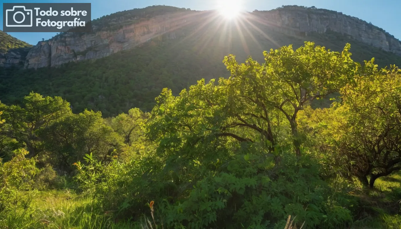 paisaje natural, colores vibrantes, flora y fauna diversa, luz solar filtrando a través de hojas, cielo azul claro, vida silvestre en acción, características geológicas únicas, vegetación exuberante, naturaleza virgen, impresionante paisaje