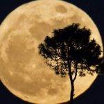 Consejos para fotografiar la luna y capturar su belleza celestial